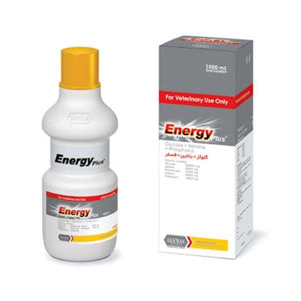 energyplus-rooyan-0